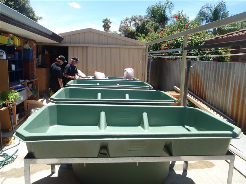 P1190007 (Custom).JPG