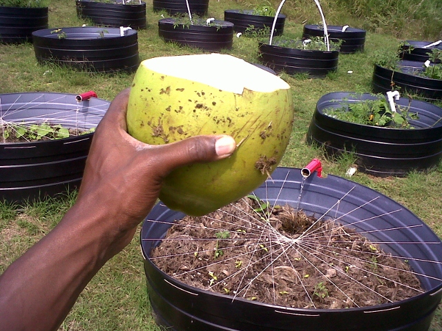 IMG02617-20110121-1126 (640x480).jpg