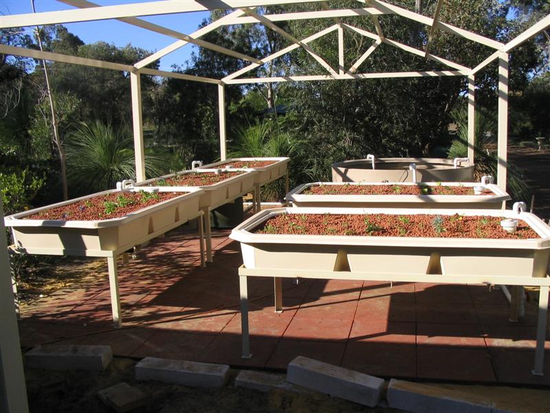 IMG_2197 (Medium).jpg