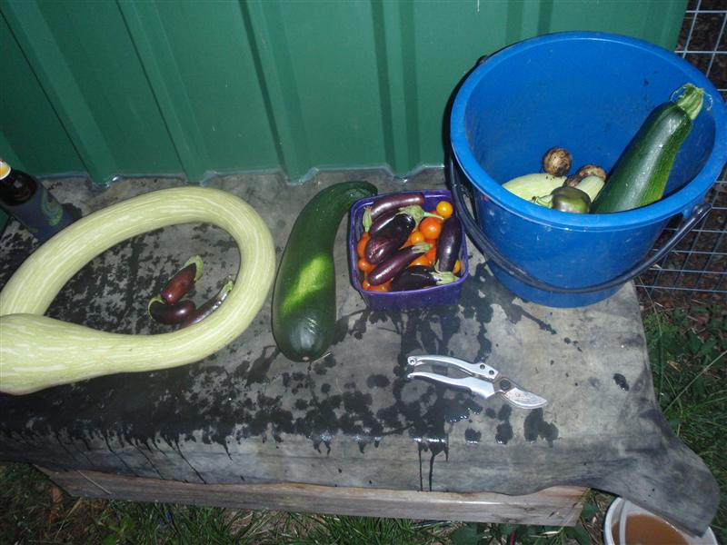 P1200678 (Custom).JPG