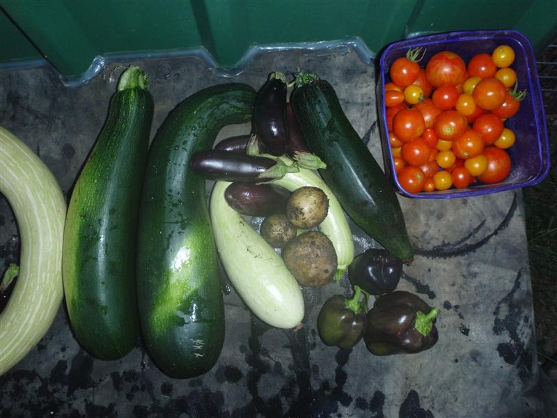 P1200682 (Custom).JPG