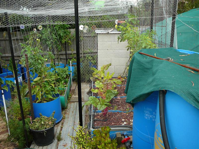 P1050751 (Custom).JPG