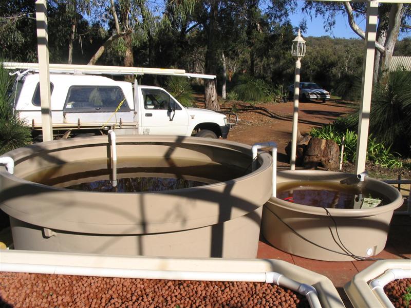 IMG_2205 (Medium).jpg