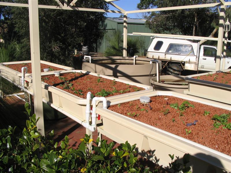 IMG_2199 (Medium).jpg