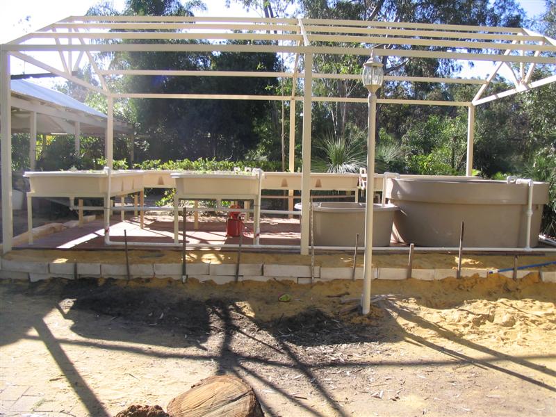 IMG_2195 (Medium).jpg