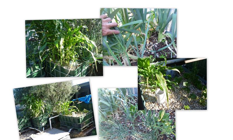 2012-01-231 (Small).jpg