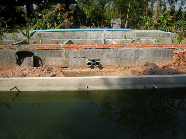 ft view future pool  wf.jpg