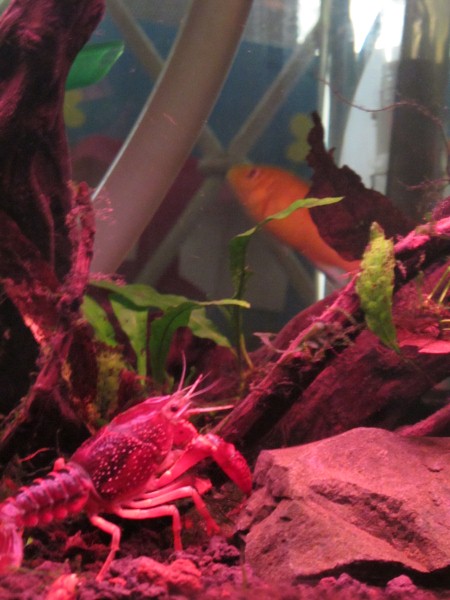 IMG_5649 (Custom).JPG