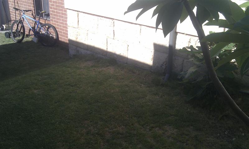 IMAG0703 (Custom).jpg