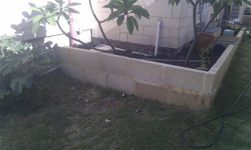 IMAG0702 (Custom).jpg