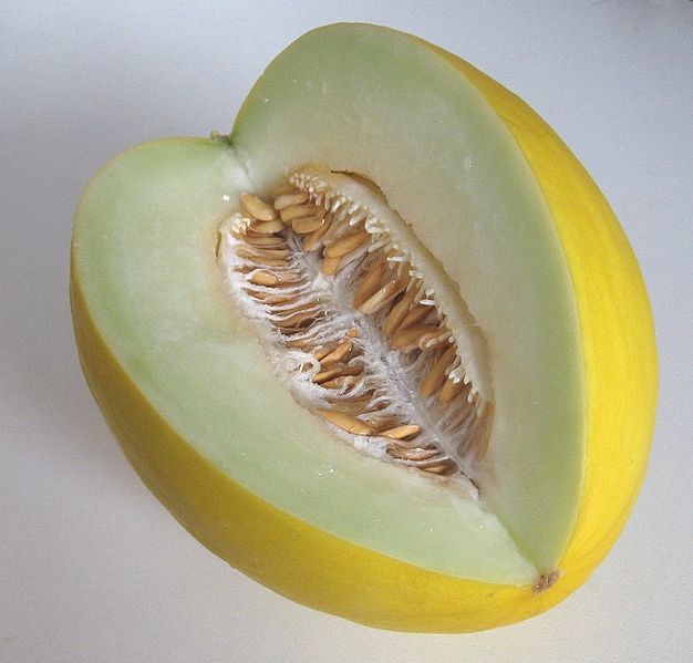 626px-Honeydew_Melon_2.jpg