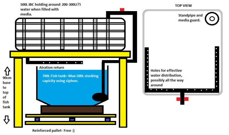 steve pump in tank- forum.jpg