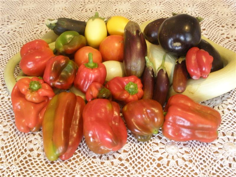 P1300421 (Custom).JPG