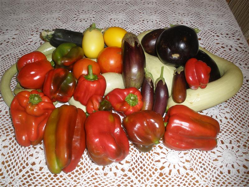 P1300416 (Custom).JPG