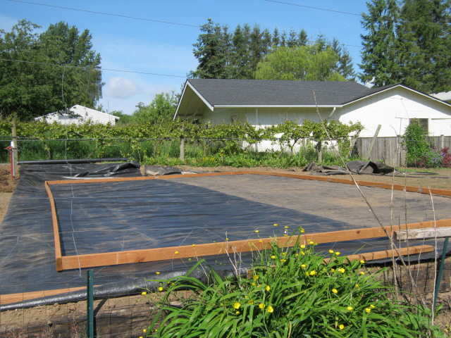 greenhouse construction- day 1 001.JPG