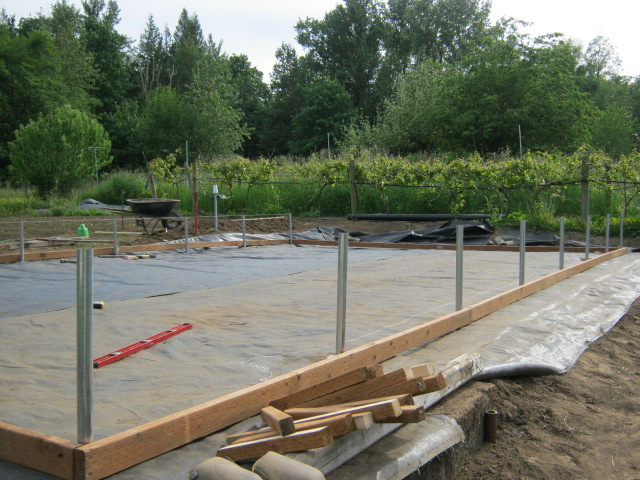 greenhouse construction- day 1 002.JPG