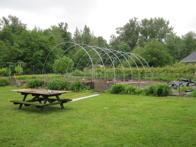 greenhouse frame 001.JPG