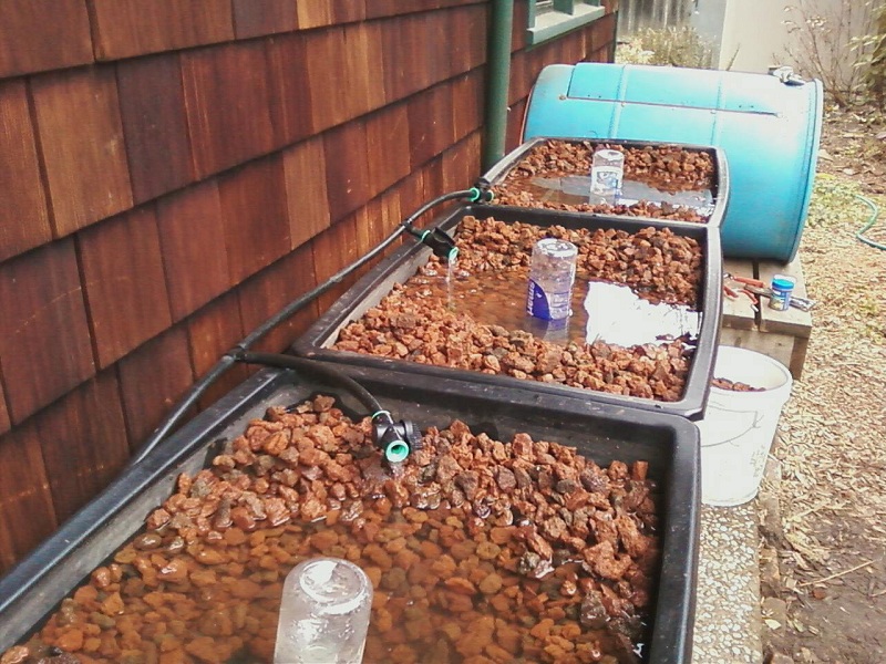 growbeds 1-30-11.jpg