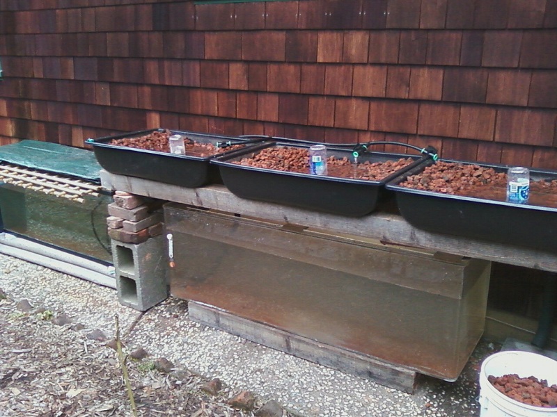 everything 1-30-11.jpg