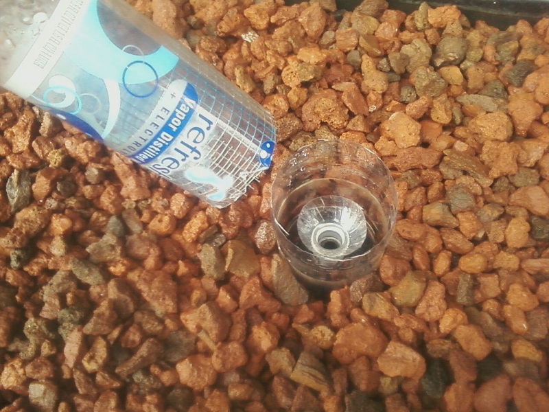 bell siphon w gravel gaurd 1-31-11.jpg