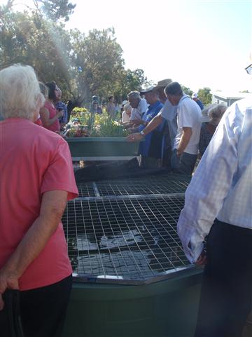 P1310038 (Small).JPG