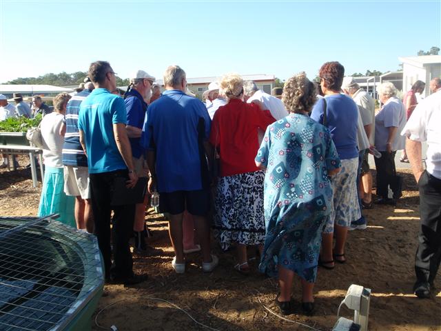 P1310039 (Small).JPG