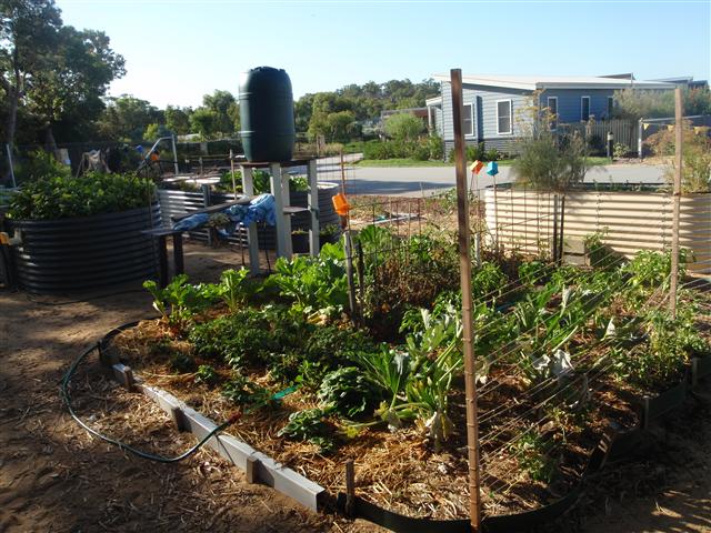 P1310040 (Small).JPG