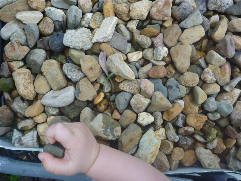 baby stealing gravel.JPG