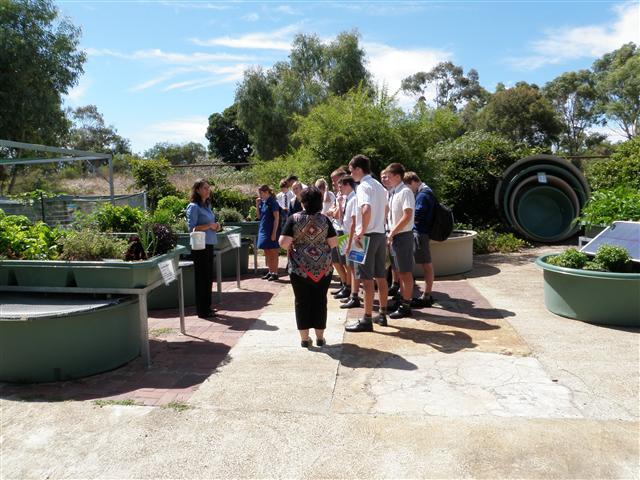 P2060074 (Small).JPG