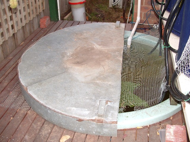 aquaponics 362007 004.jpg