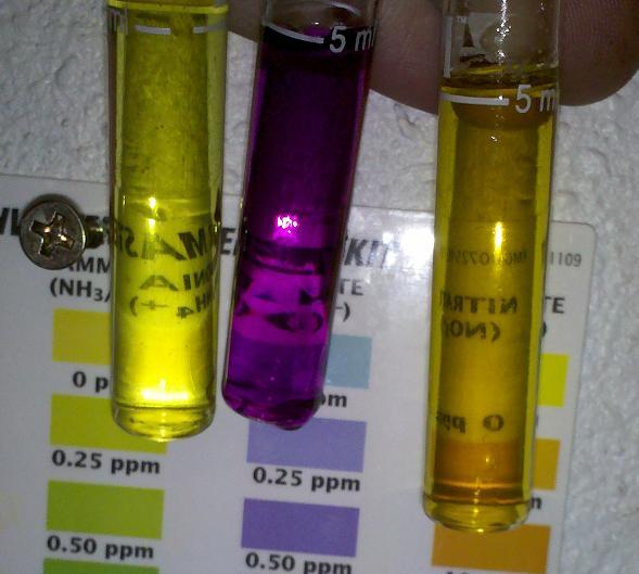 2-7-12 water test.JPG