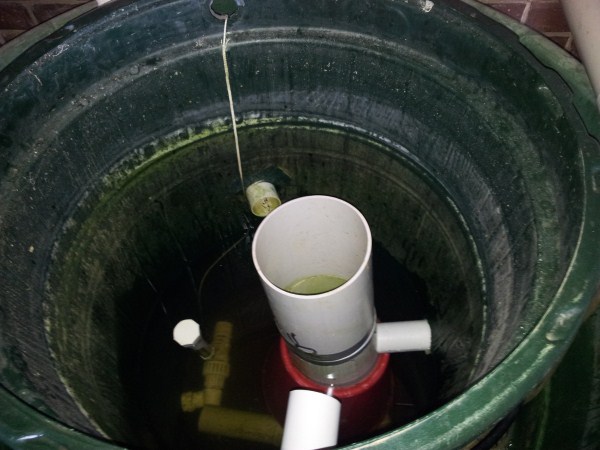 2012-02-02 15.16.14 (600 x 450).jpg