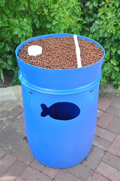 DSC_0505 (Medium).JPG