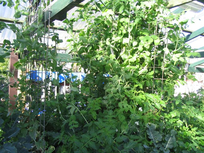 IMG_2224 (Medium).jpg