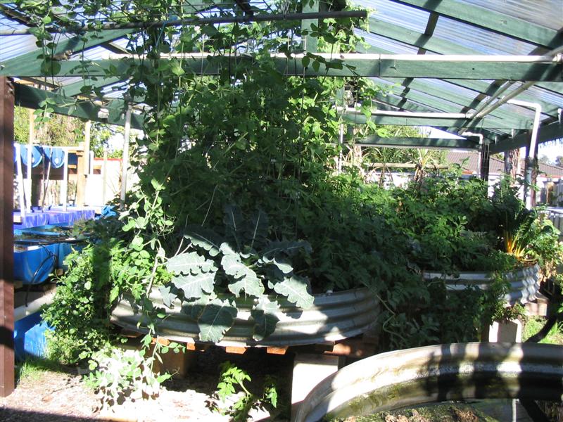 IMG_2220 (Medium).jpg