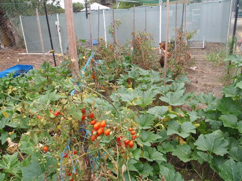 P2030039 (Custom).JPG