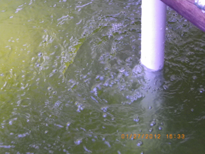 IMGP0654 (800x600).jpg