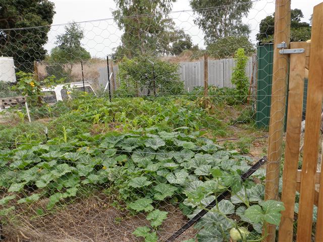 P2180090 (Small).JPG