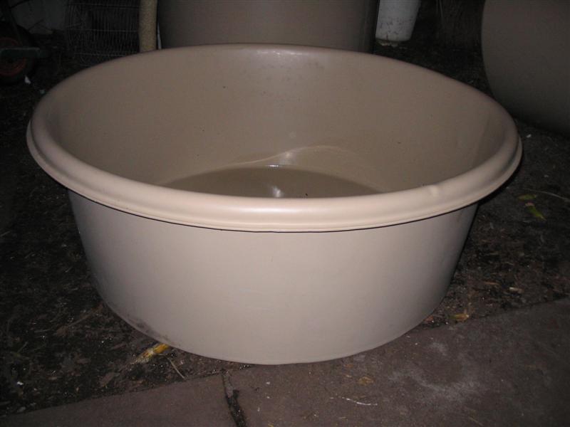 IMG_2229 (Medium).jpg