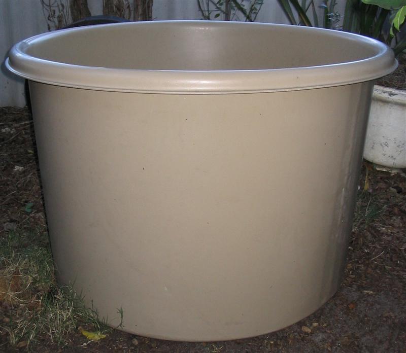 IMG_2227 (Medium).jpg