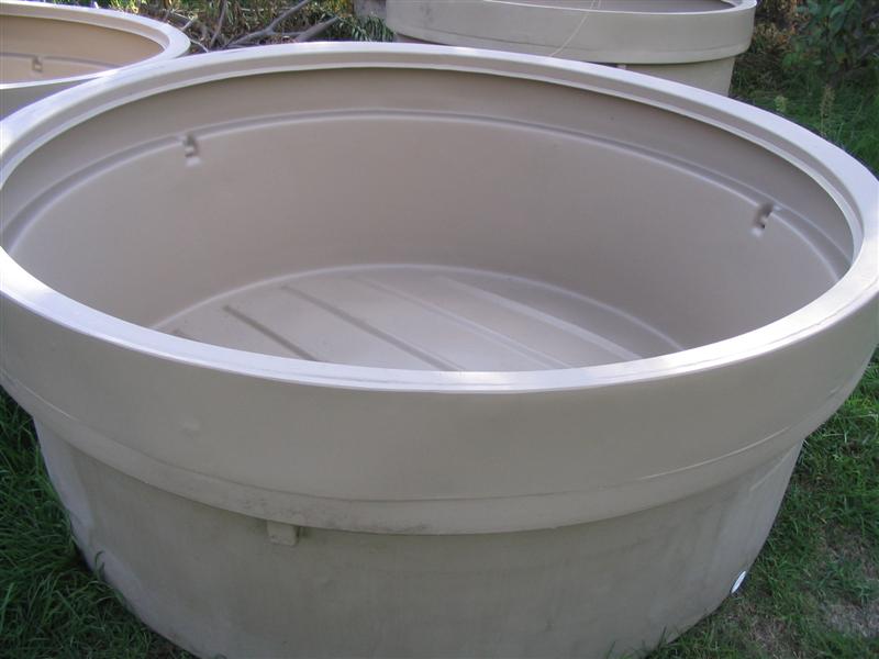 IMG_2173 (Medium).jpg