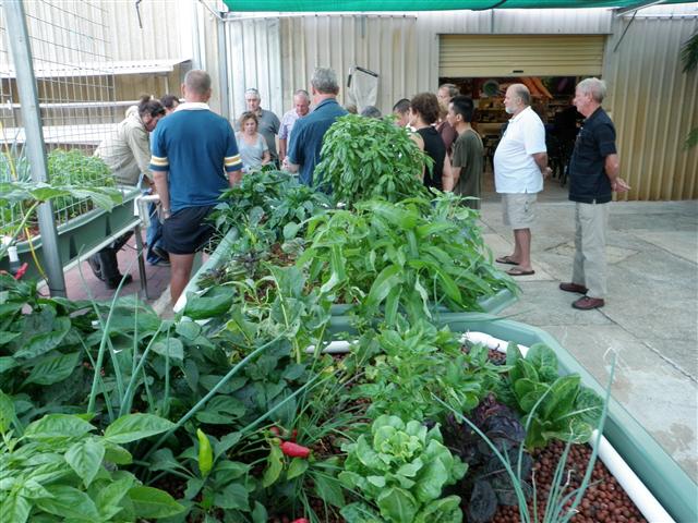 P2280040 (Small).JPG