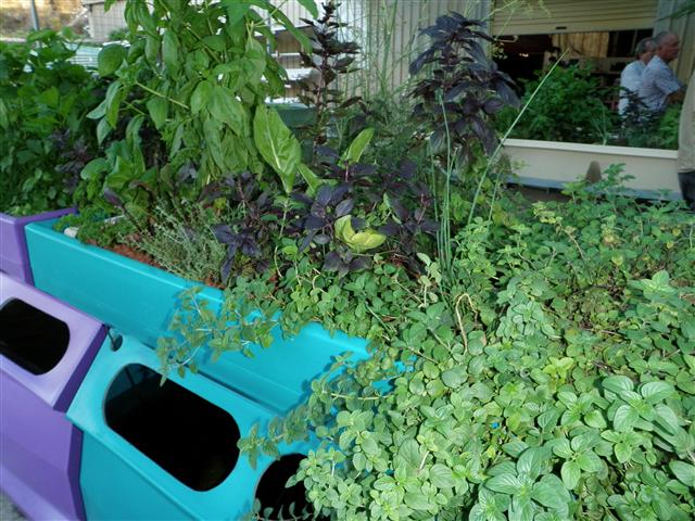 P2280044 (Small).JPG