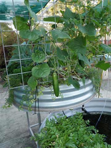 P2280047 (Small).JPG