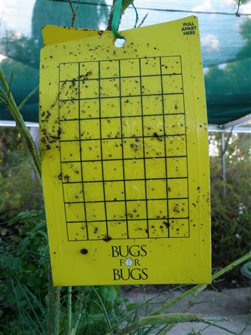 P2280050 (Small).JPG