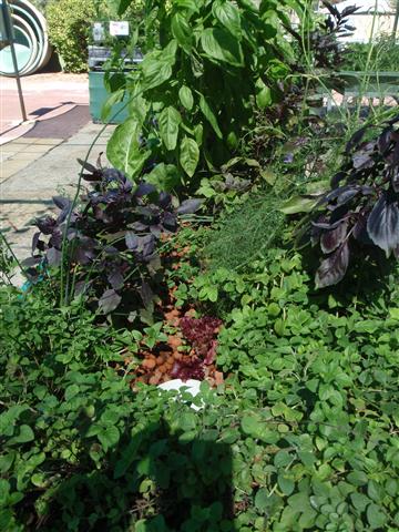 P3010456 (Small).JPG