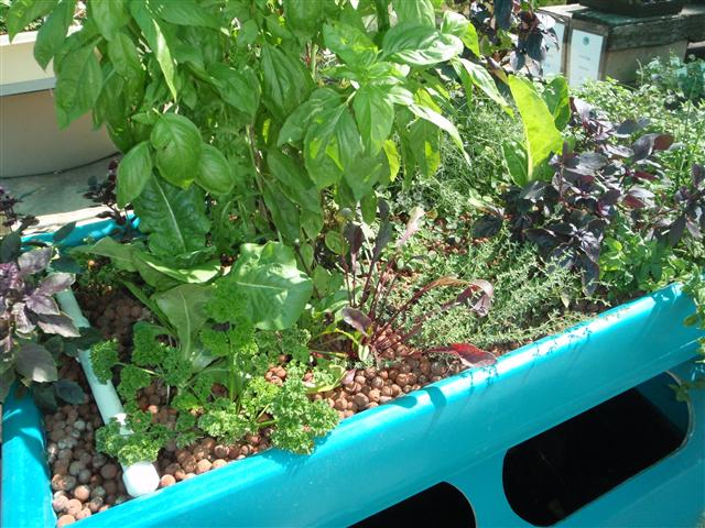 P3010455 (Small).JPG