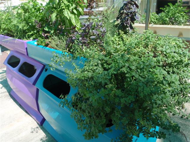 P3010454 (Small).JPG