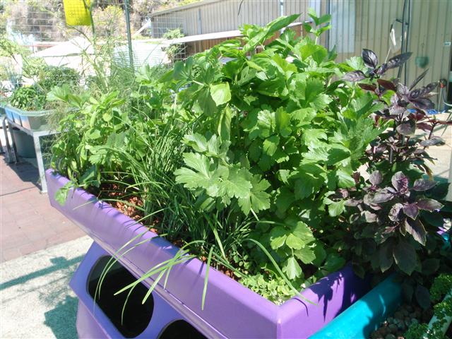 P3010452 (Small).JPG