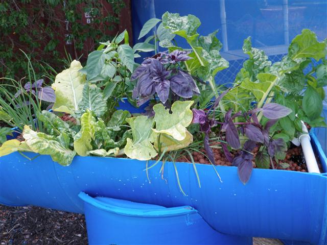 P3030008 (Small).JPG